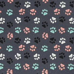 Canvas - Rinteln Pfoten anthrazit